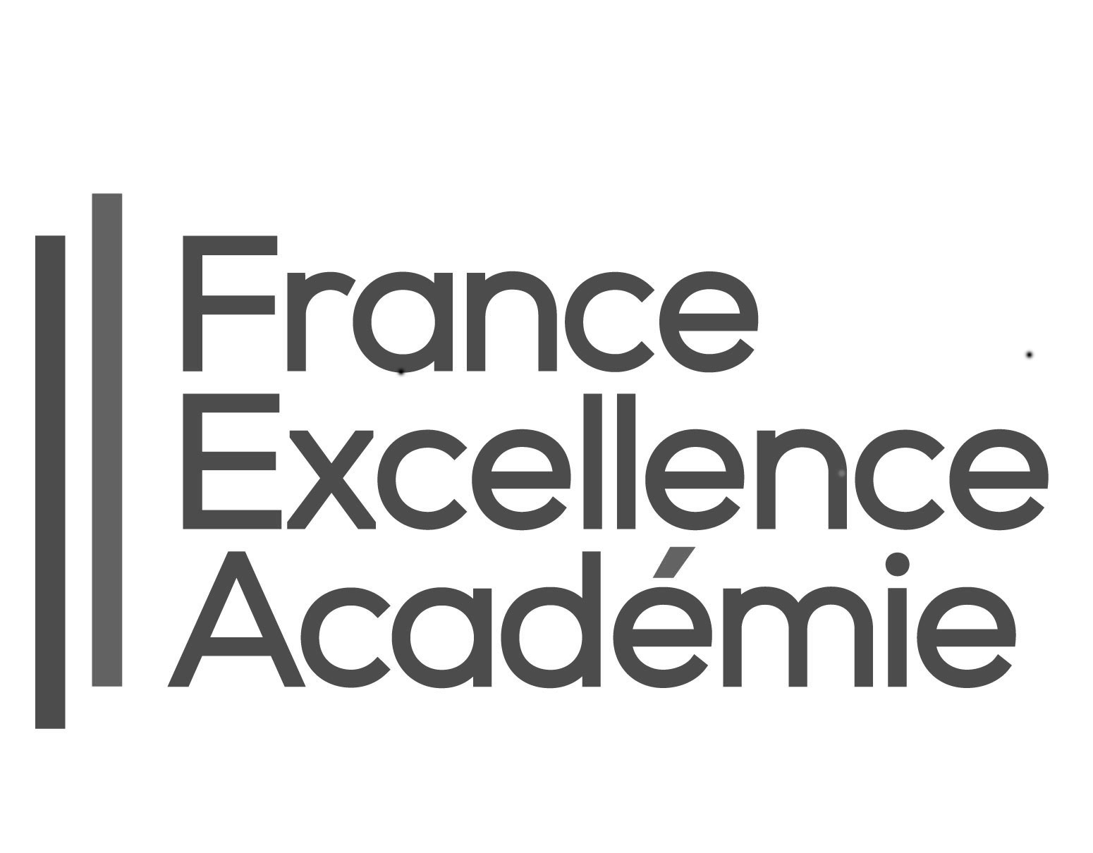 LOGO-FranceExcellenceAcademie-NB